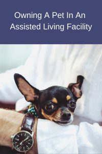 Owning A Pet In An Assisted Living Facility﻿